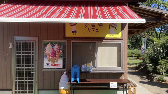 cafe01